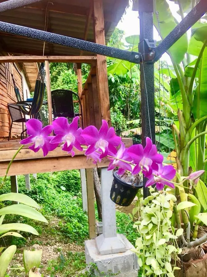 Hotel Lanta A Toi House Ko Lanta